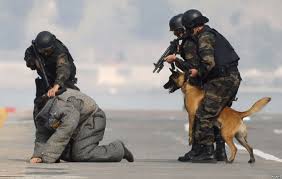Turkish security forces arrest 7 ISIL suspects